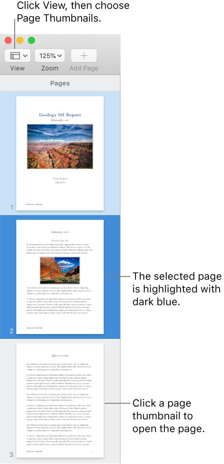 How To Remove Page Breaks In Word For Mac 2011